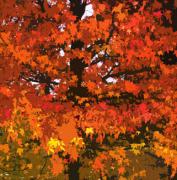 Herbstcollage digital